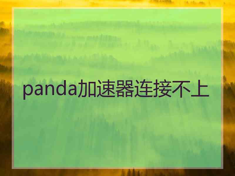 panda加速器连接不上