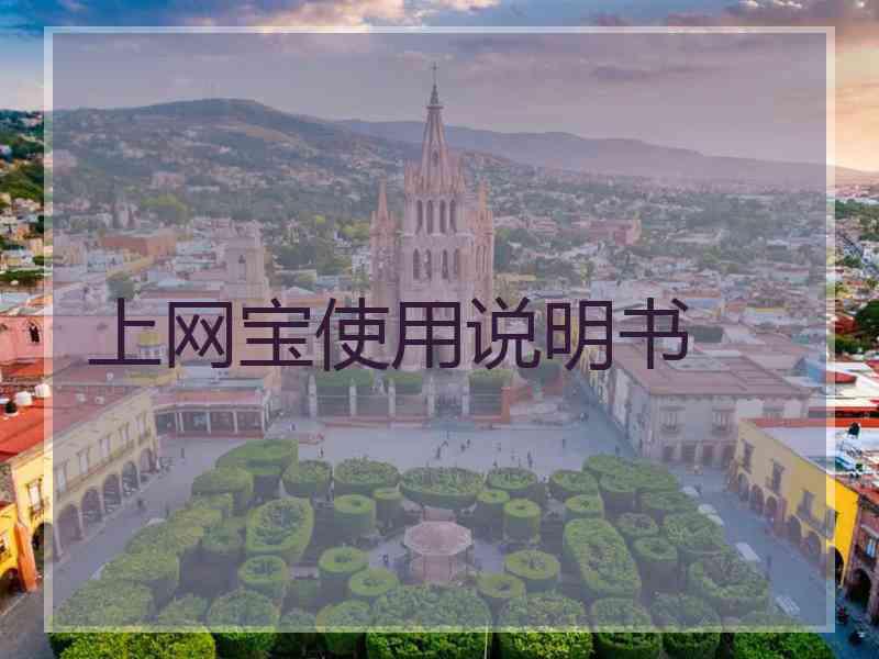 上网宝使用说明书