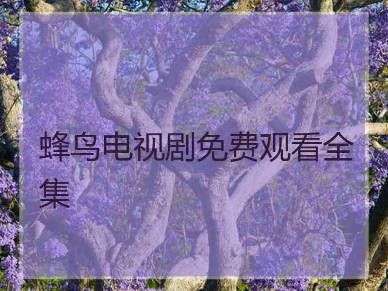 蜂鸟电视剧免费观看全集