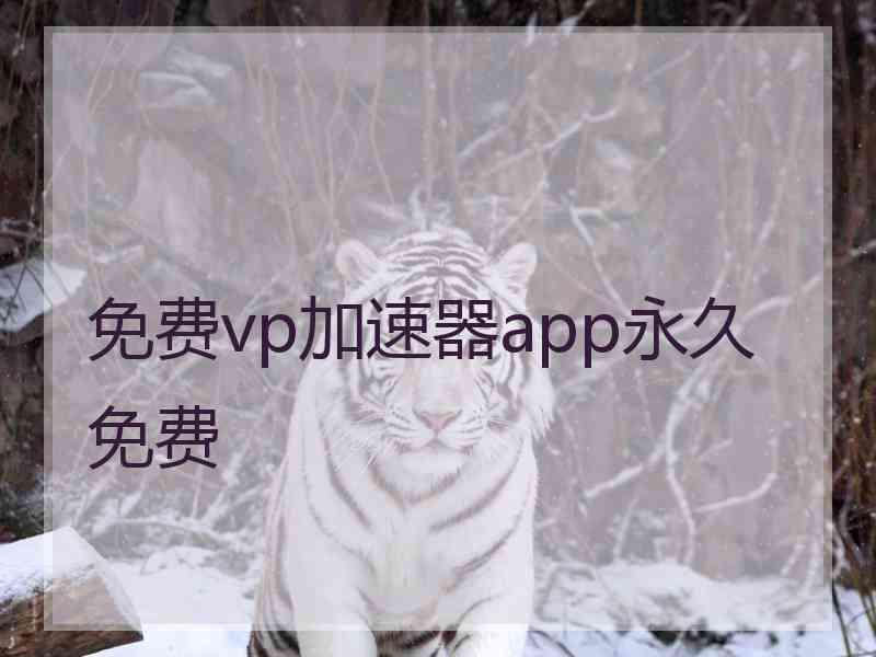 免费vp加速器app永久免费