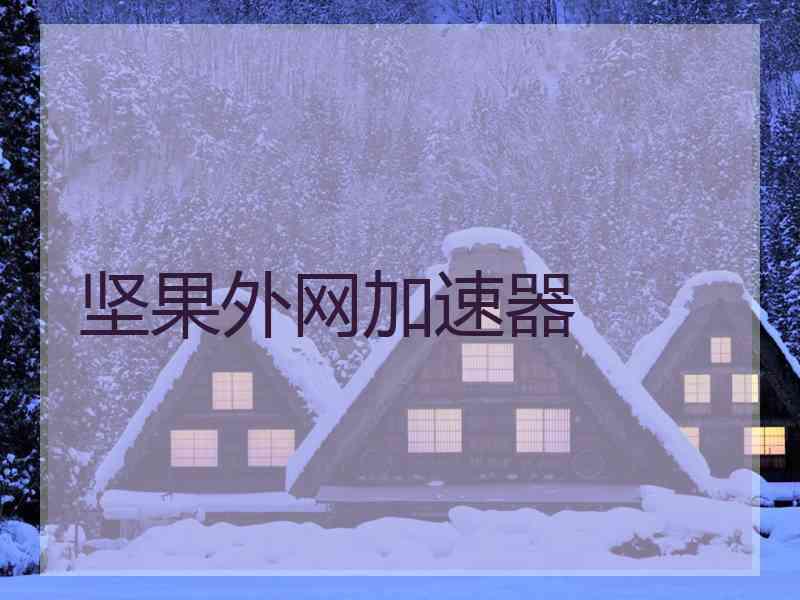 坚果外网加速器