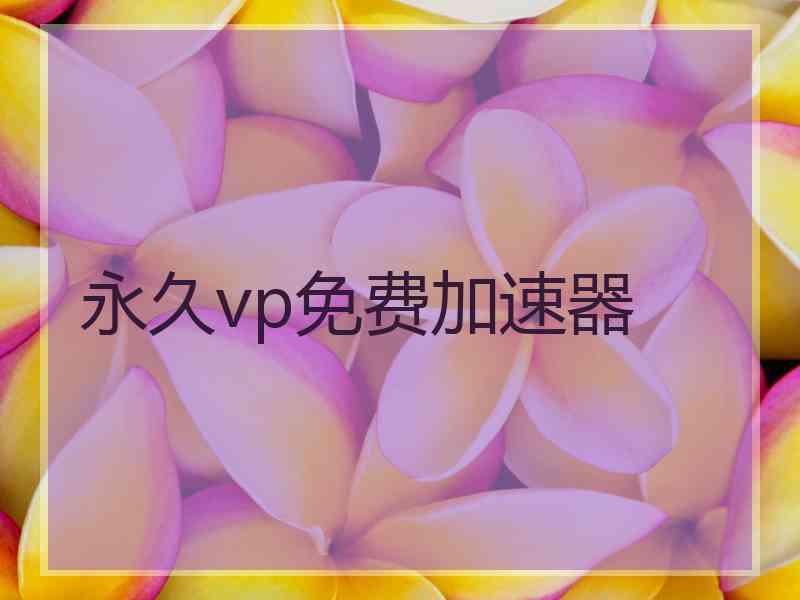 永久vp免费加速器