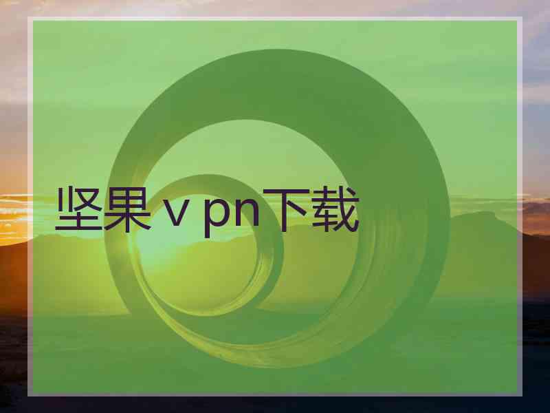 坚果ⅴpn下载