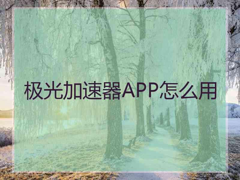 极光加速器APP怎么用
