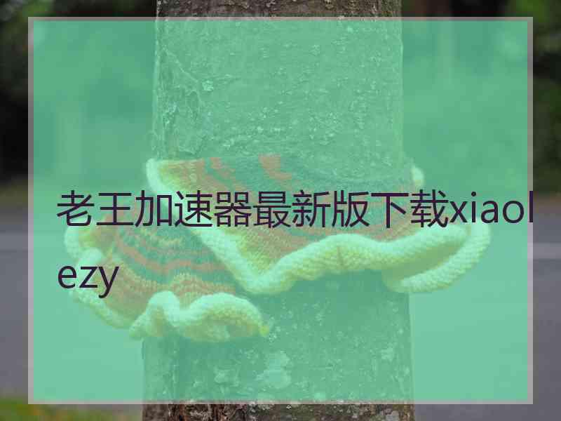 老王加速器最新版下载xiaolezy