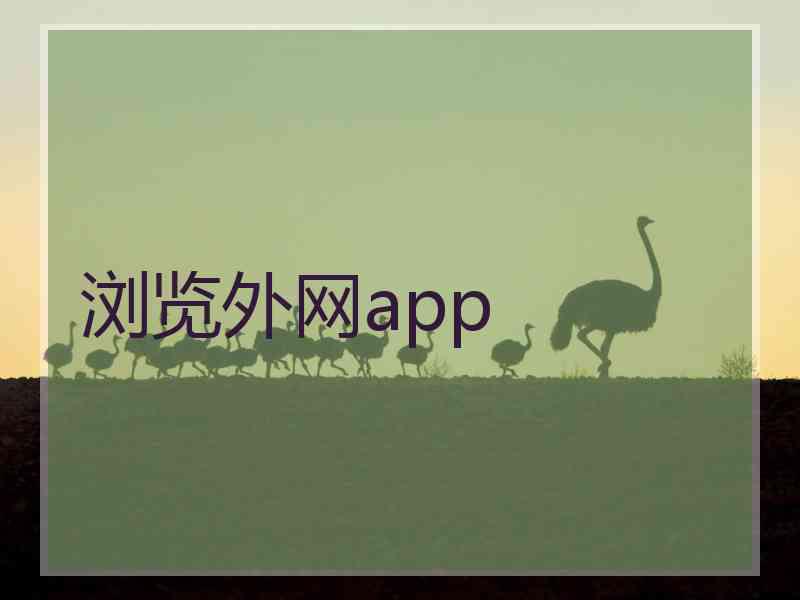 浏览外网app