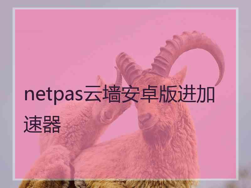 netpas云墙安卓版进加速器