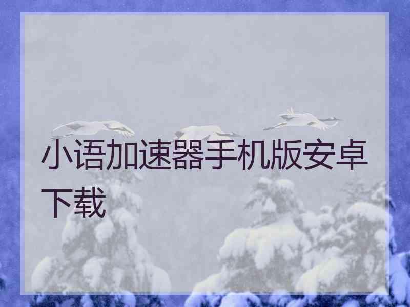 小语加速器手机版安卓下载