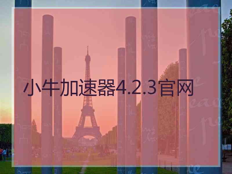 小牛加速器4.2.3官网