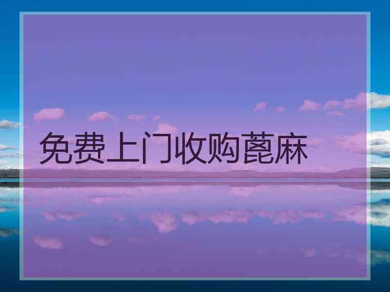 免费上门收购蓖麻