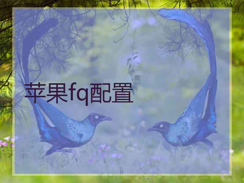 苹果fq配置
