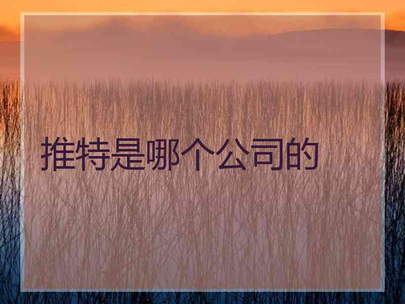 推特是哪个公司的