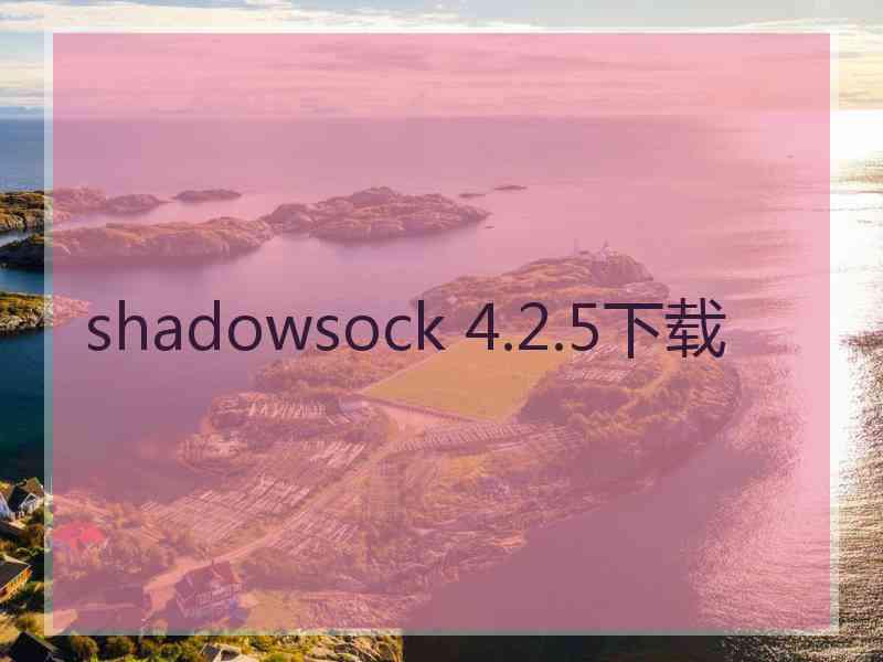 shadowsock 4.2.5下载