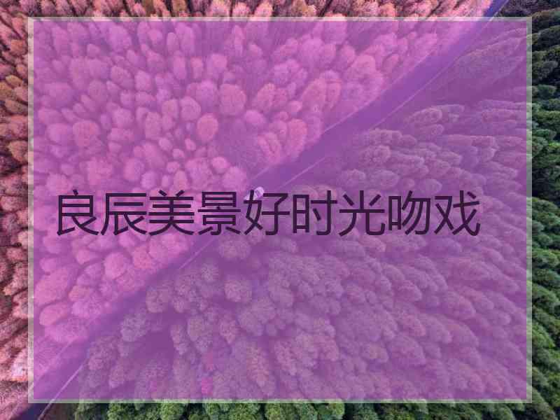 良辰美景好时光吻戏