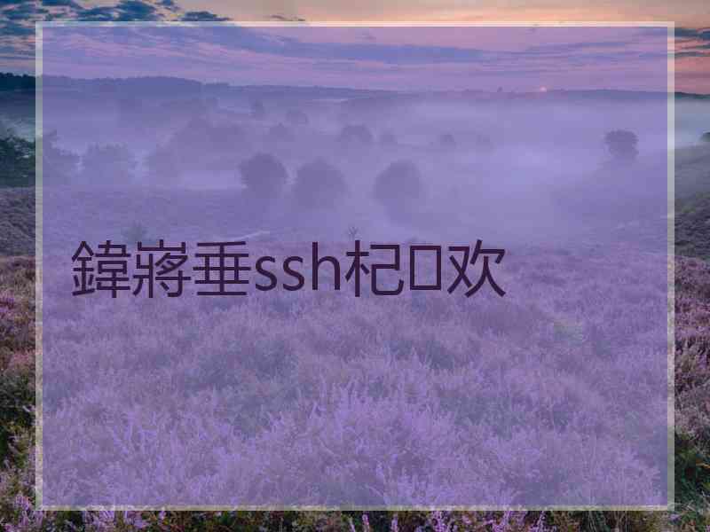 鍏嶈垂ssh杞欢