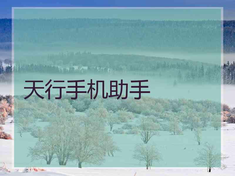 天行手机助手