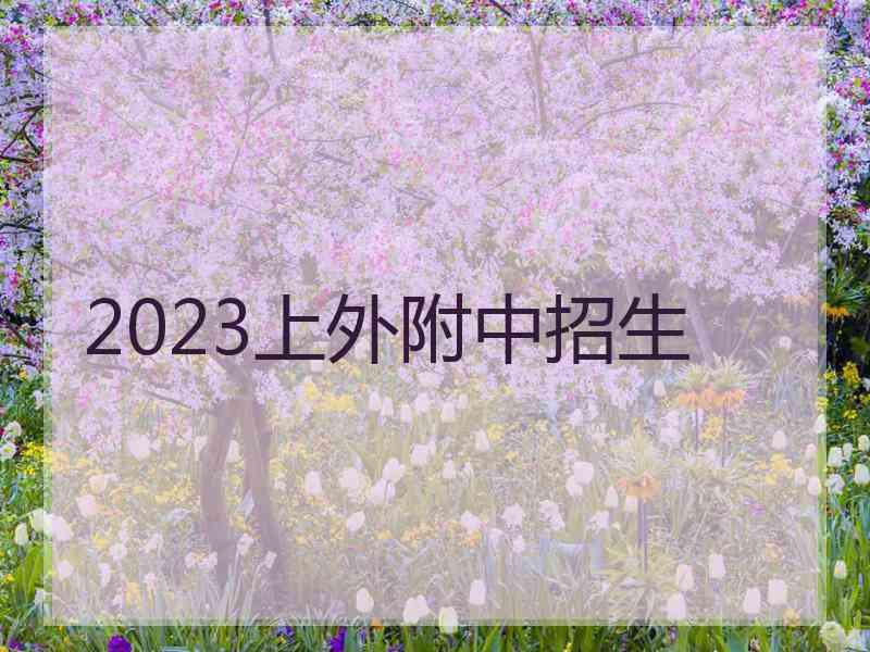 2023上外附中招生