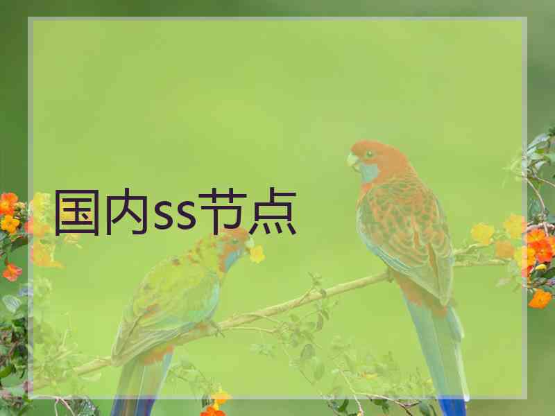 国内ss节点