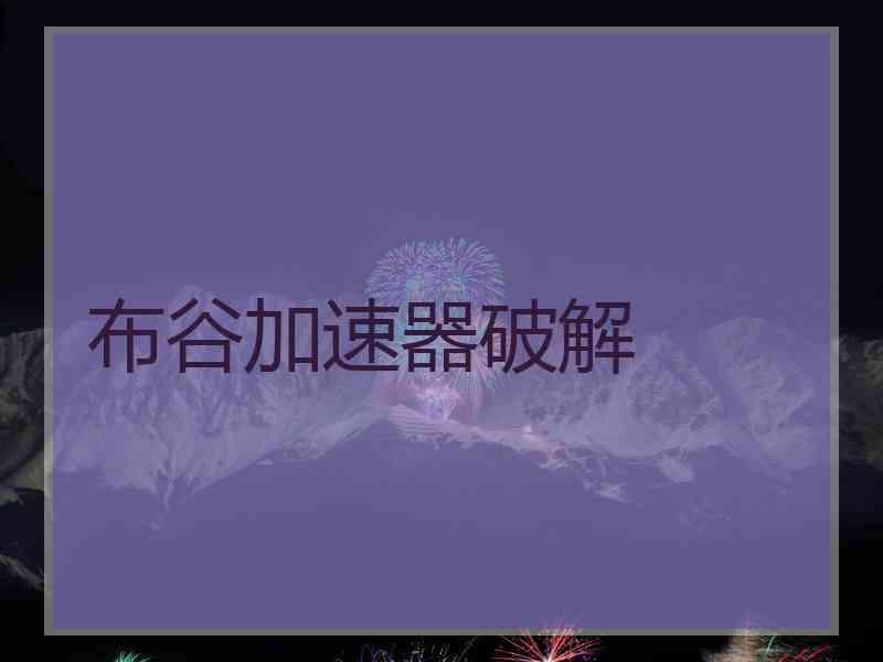 布谷加速器破解