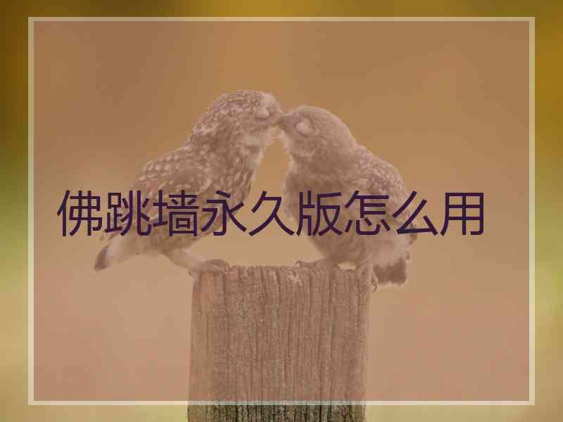 佛跳墙永久版怎么用