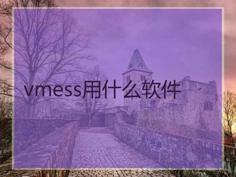 vmess用什么软件