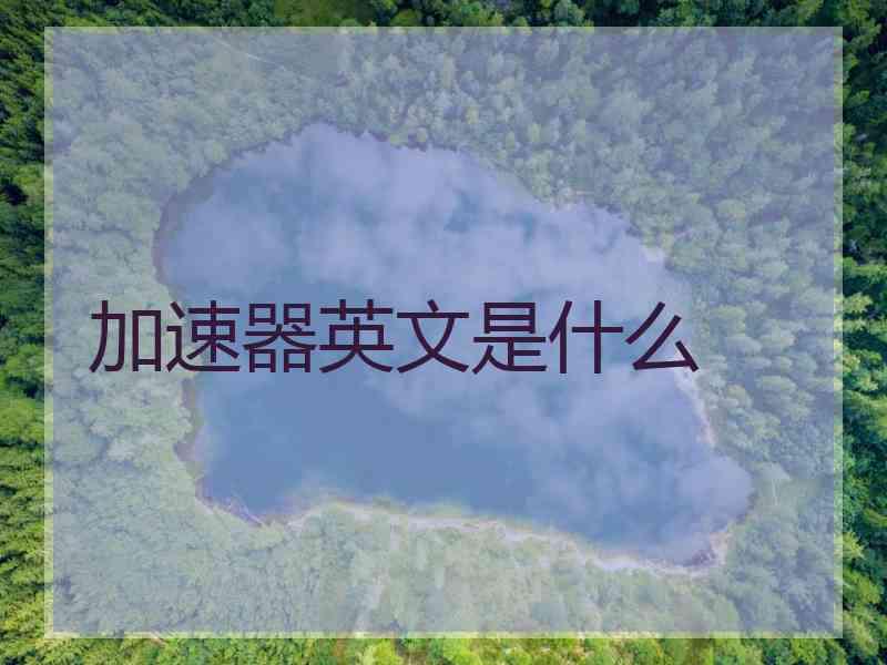 加速器英文是什么