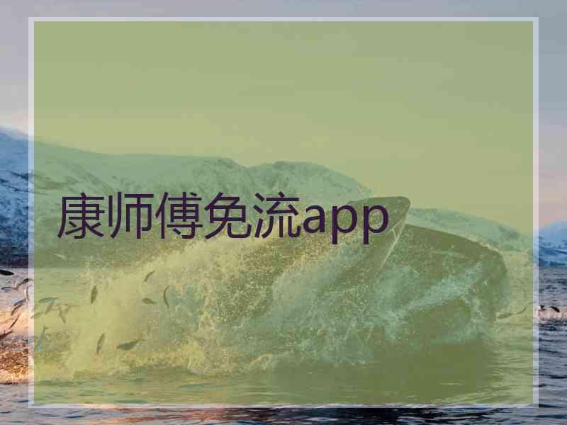 康师傅免流app