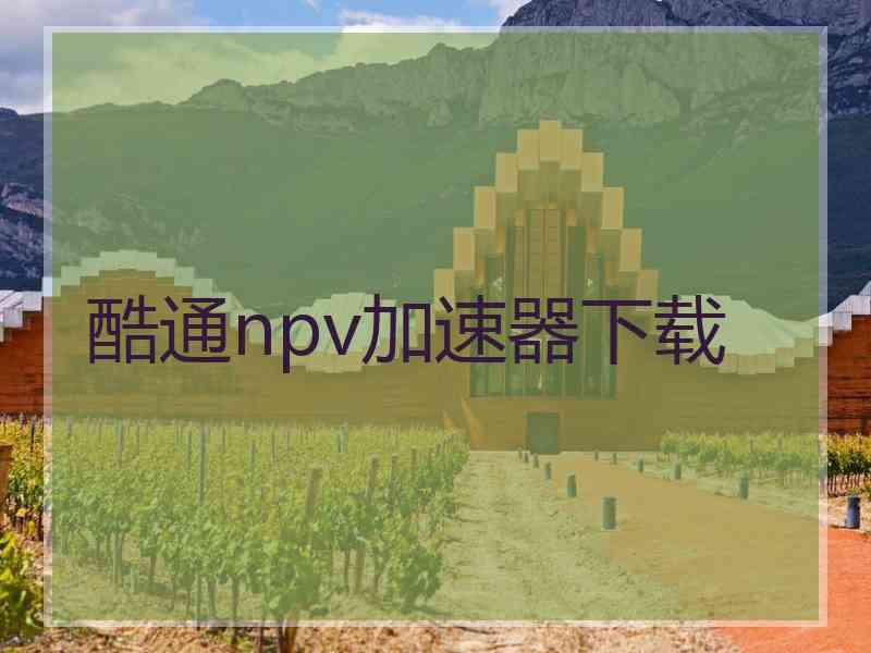 酷通npv加速器下载