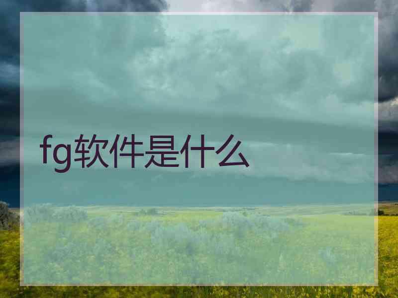 fg软件是什么