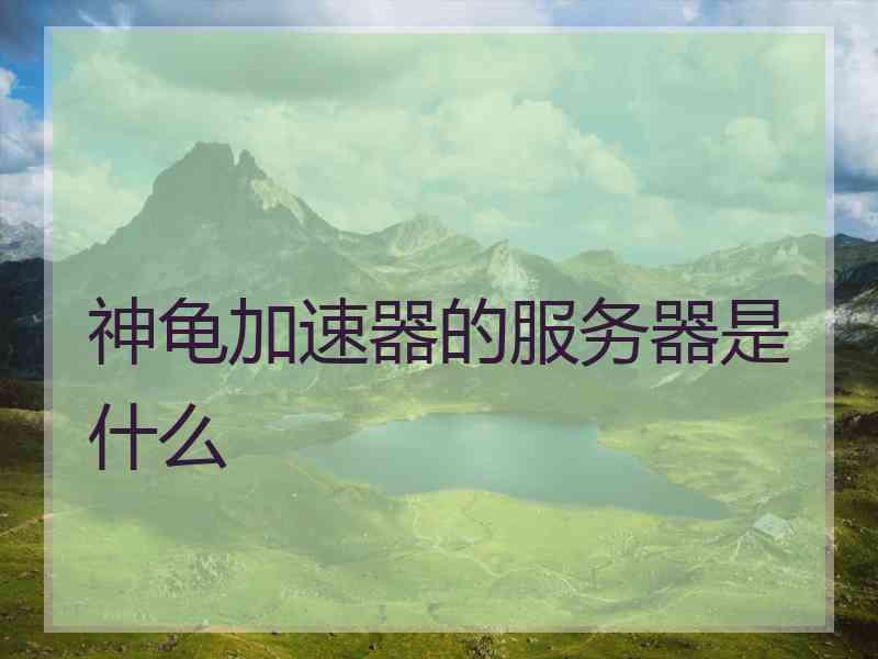神龟加速器的服务器是什么