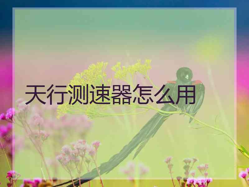 天行测速器怎么用