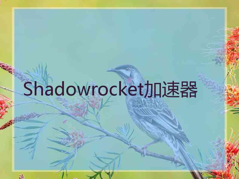 Shadowrocket加速器