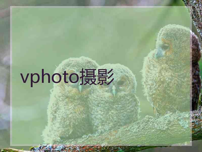 vphoto摄影