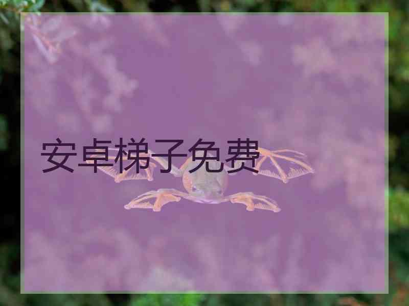 安卓梯子免费
