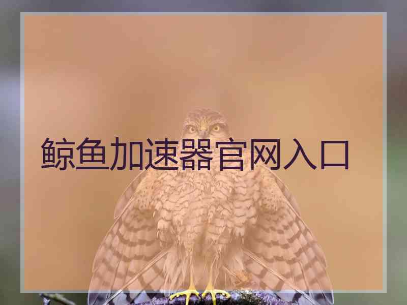 鲸鱼加速器官网入口