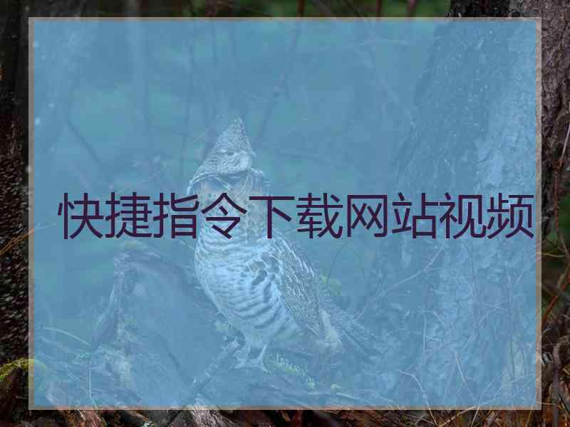 快捷指令下载网站视频