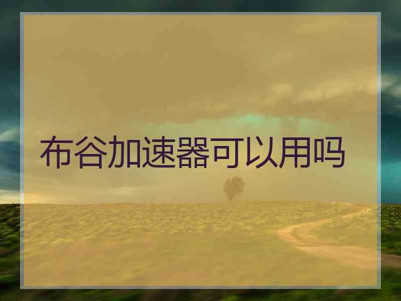 布谷加速器可以用吗