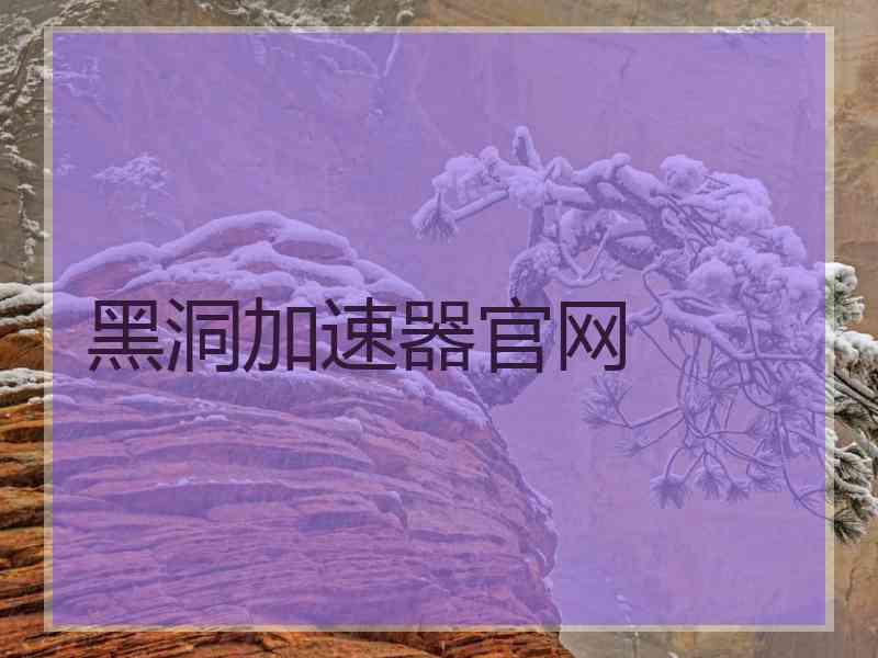 黑洞加速器官网