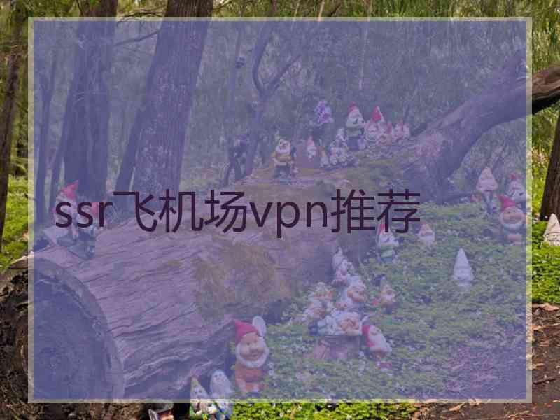 ssr飞机场vpn推荐