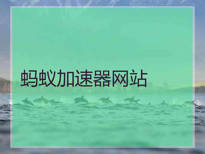 蚂蚁加速器网站