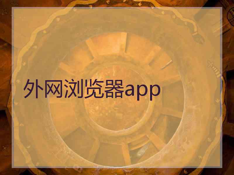 外网浏览器app