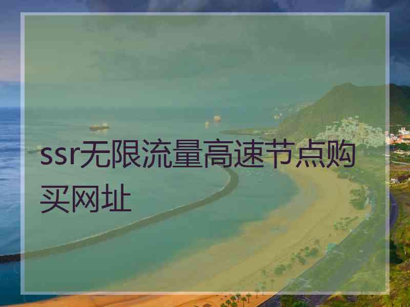 ssr无限流量高速节点购买网址