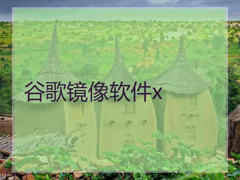 谷歌镜像软件x