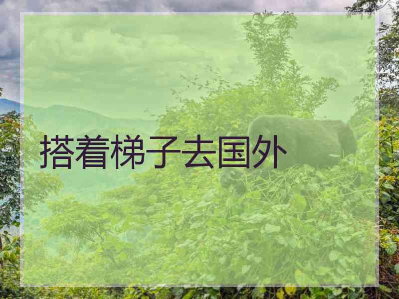 搭着梯子去国外