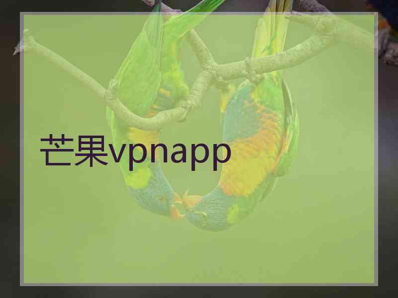 芒果vpnapp