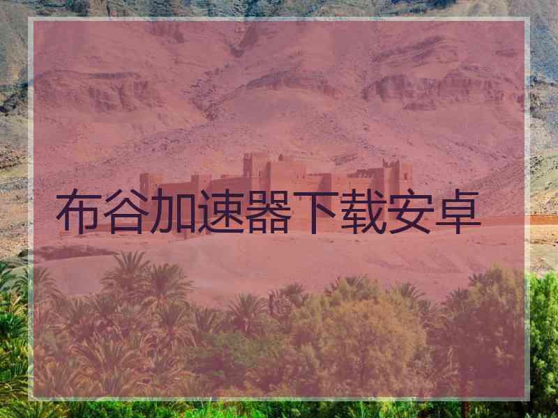 布谷加速器下载安卓
