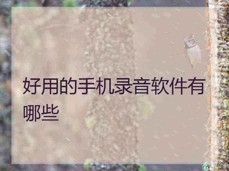 好用的手机录音软件有哪些