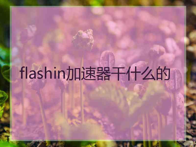 flashin加速器干什么的