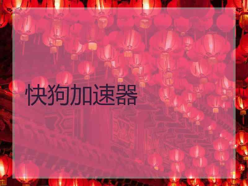 快狗加速器