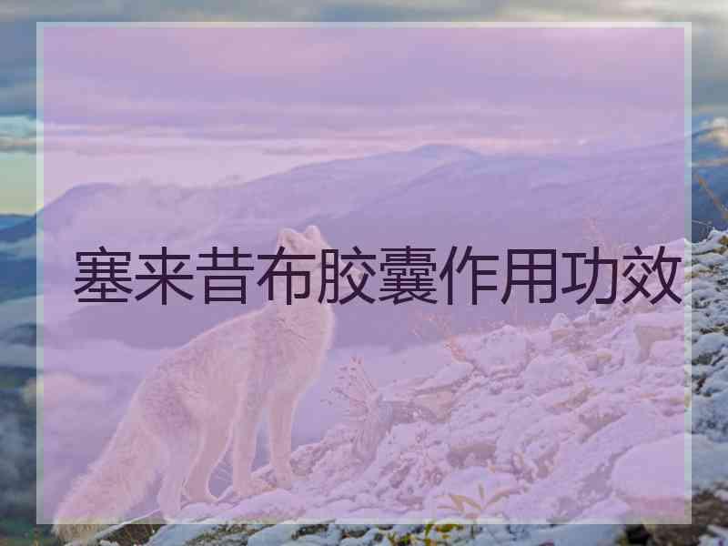 塞来昔布胶囊作用功效